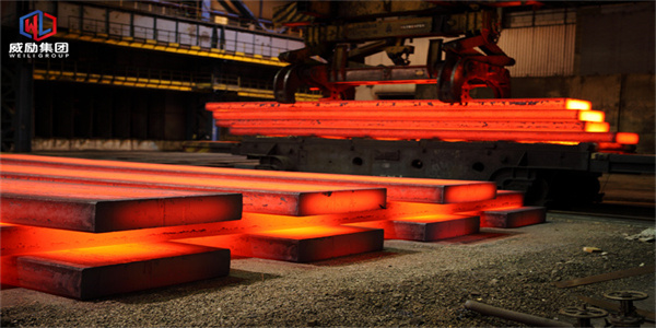 1699102512474382.jpg 1 (5).jpg