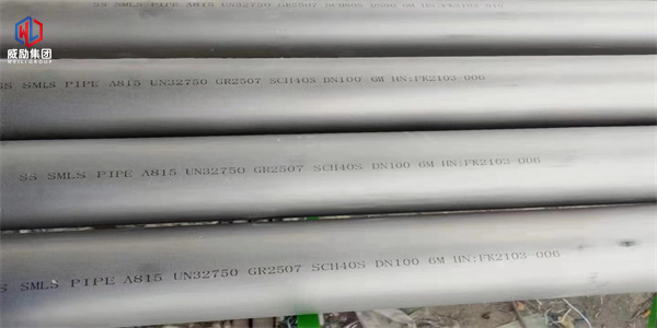 1731478983562262.jpg 1 (156).jpg