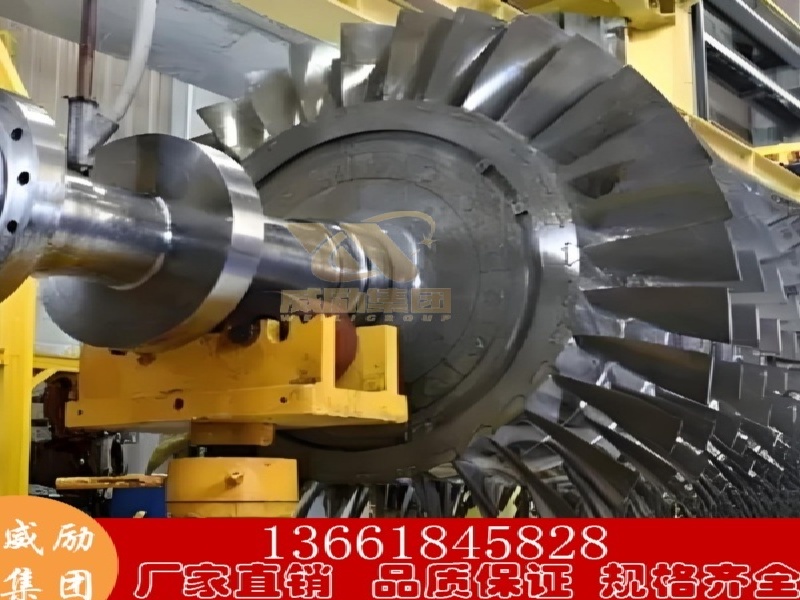 1734500447297230.jpg 2.jpg