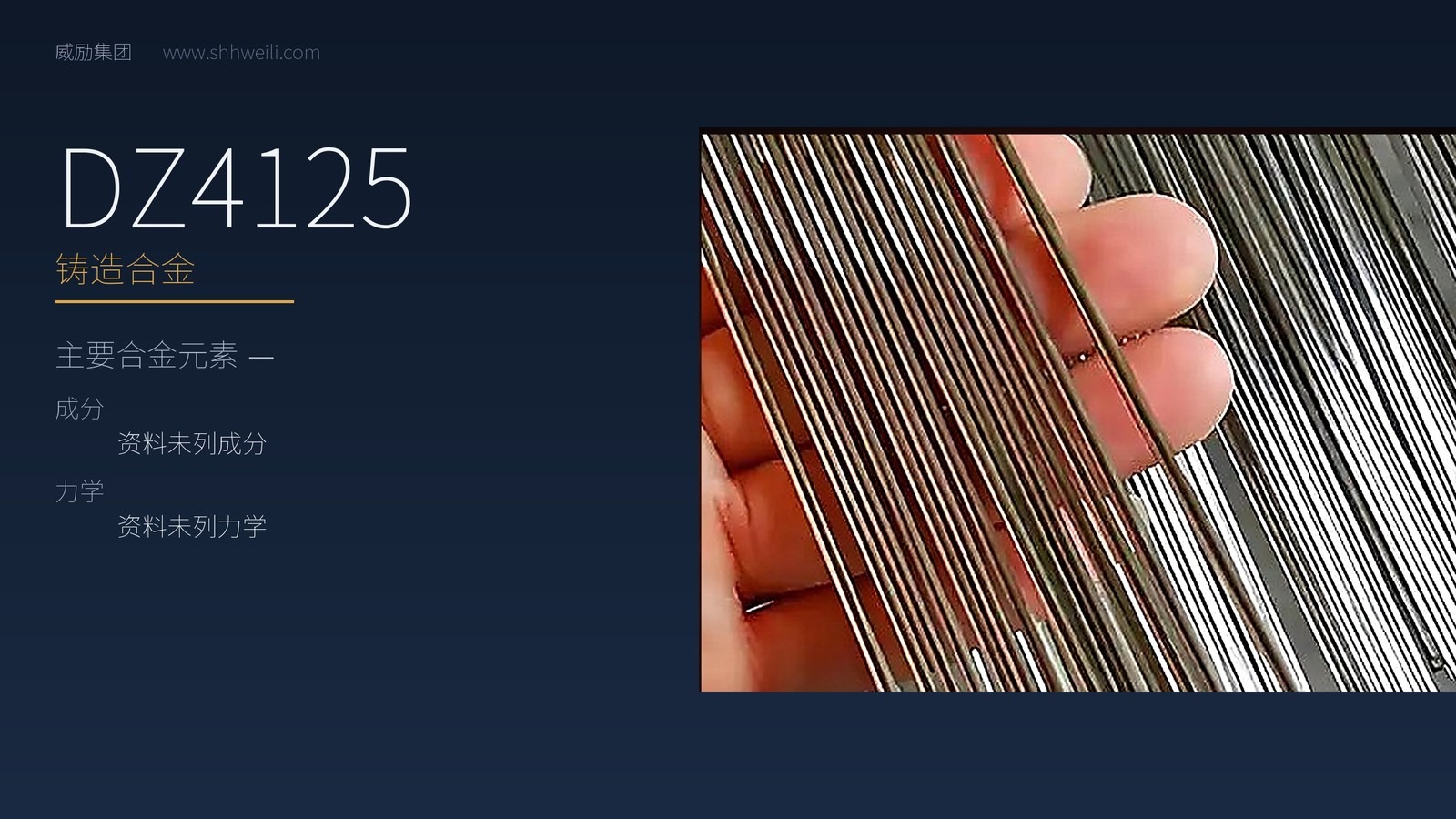 DZ4125