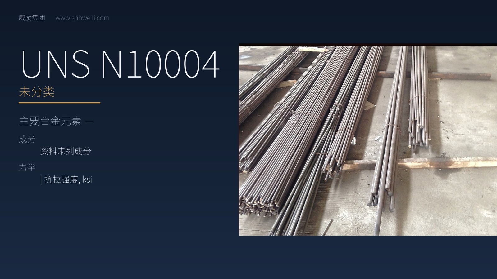 UNS N10004